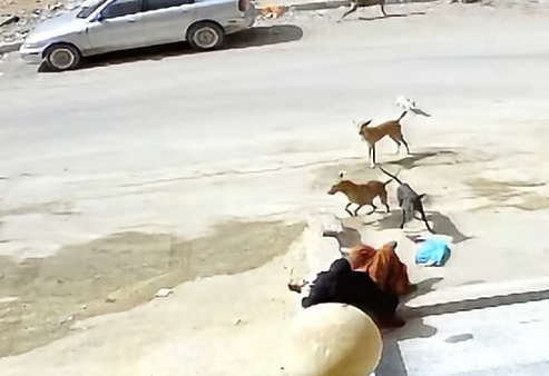 لقطة الشاشة 2026-10-16 100654 لقطة الشاشة 2026-10-16 100654